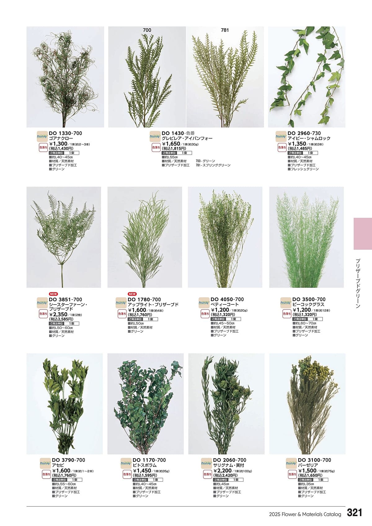 東京堂 Tokyodo カタログ P321