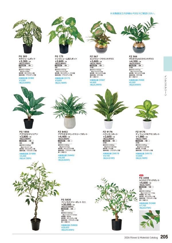 ファイカスツリーポット ミニのカタログ画像-1