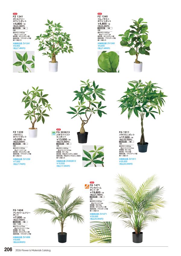 パキラミニポットのカタログ画像-1