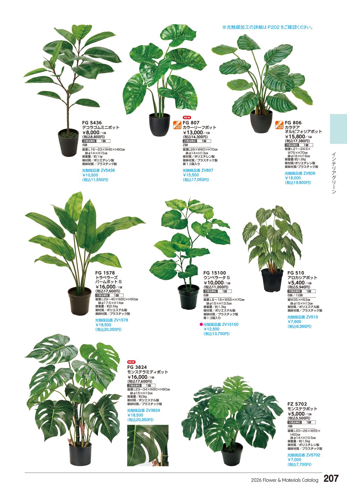 東京堂 Tokyodo カタログ P207