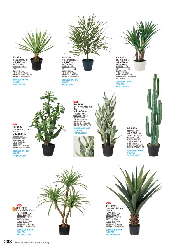 ユッカミニポットのカタログ画像-1