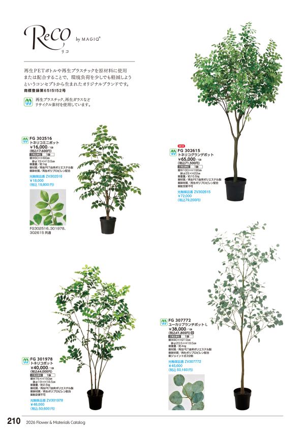 ユーカリブランチポットLのカタログ画像-1