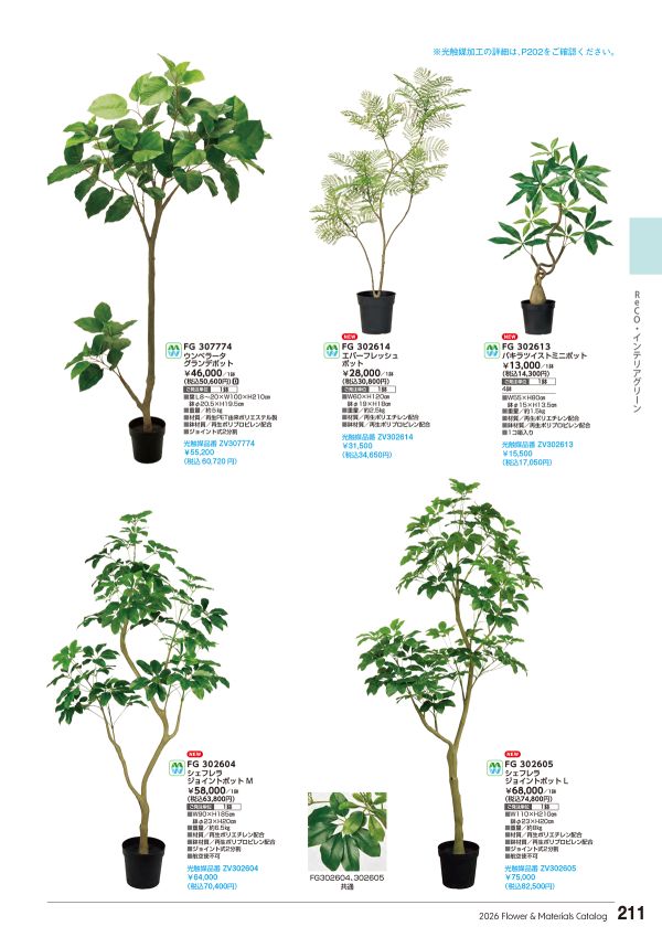 ウンベラータグランデポットのカタログ画像-1