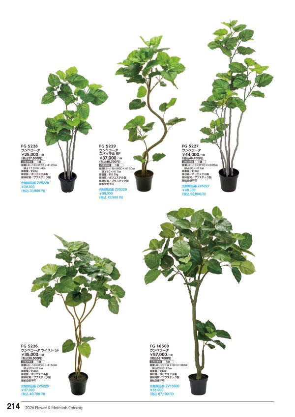 ウンベラータ スパイラル 5F｜東京堂のフェイクグリーン