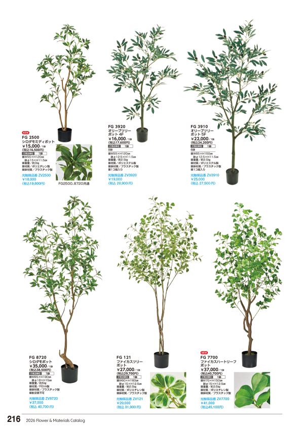 シロダモポットのカタログ画像-1