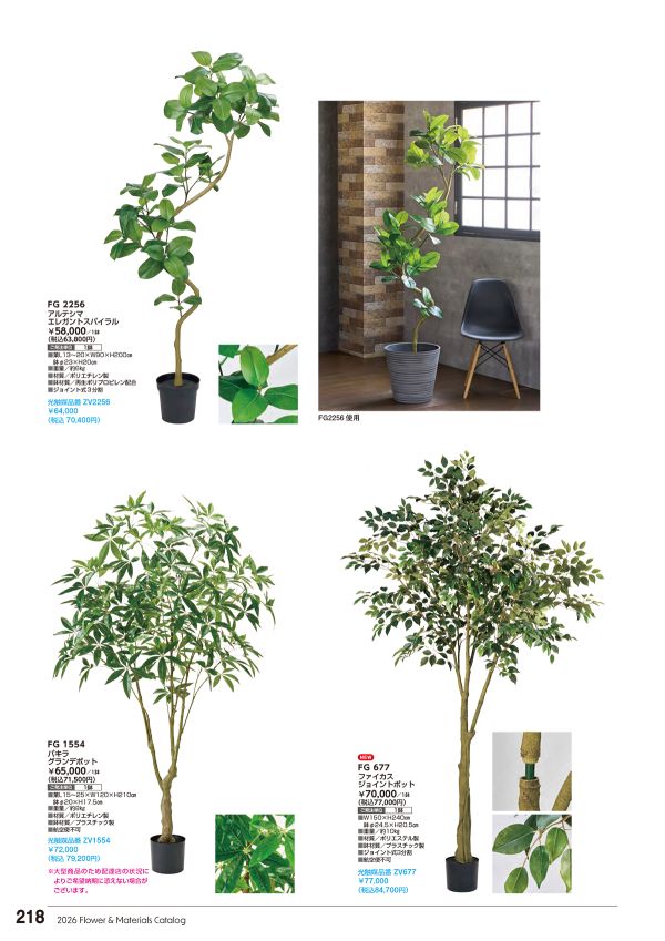 アルテシマエレガントスパイラルのカタログ画像-1