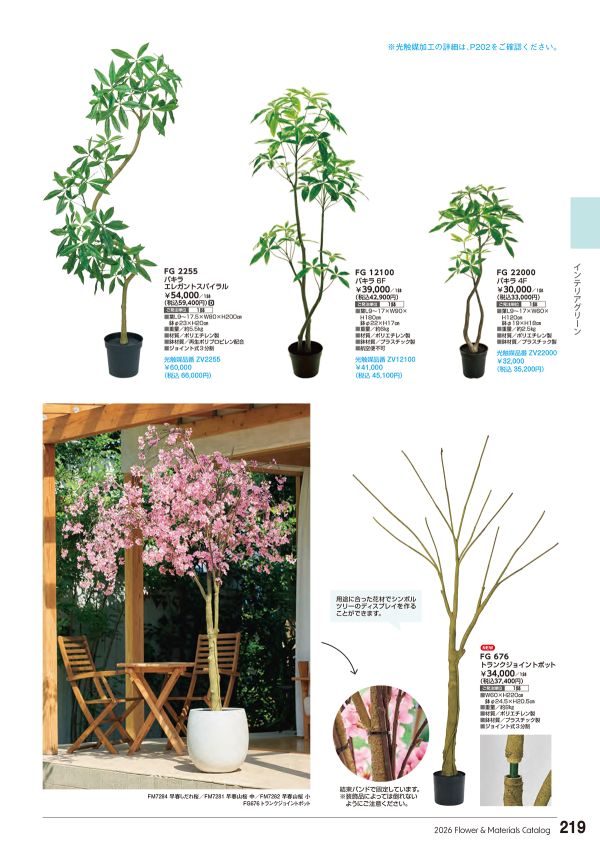 パキラ 6F｜東京堂のフェイクグリーン