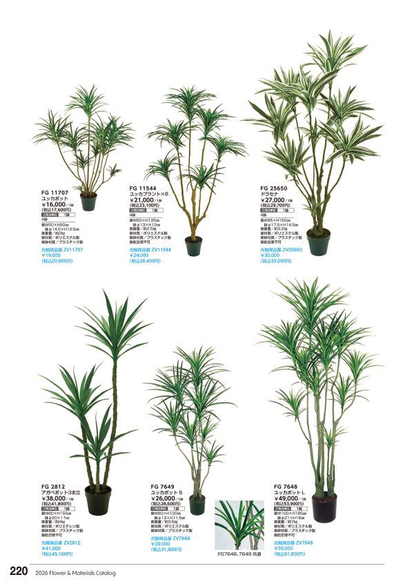 ユッカポットのカタログ画像-1