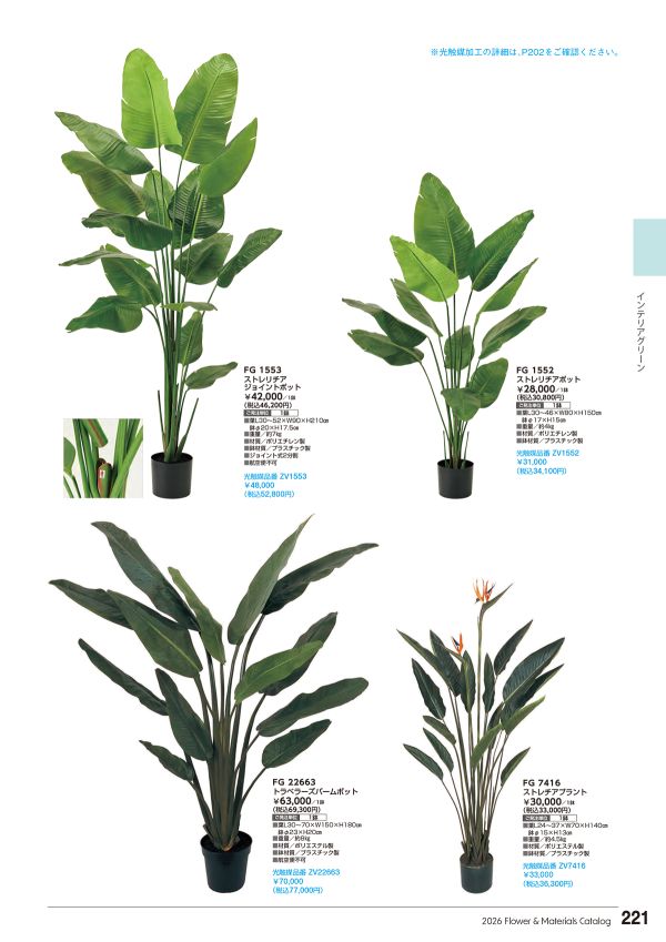 トラベラーズパームポットのカタログ画像-1