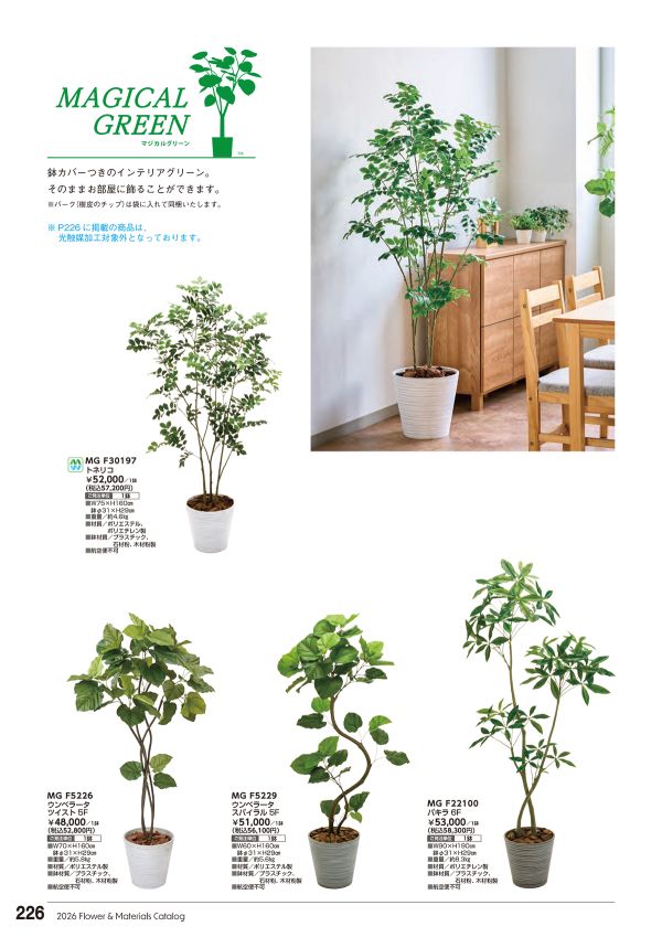 ウンベラータスパイラル 5F 鉢付 MGF5229｜東京堂のフェイクグリーン