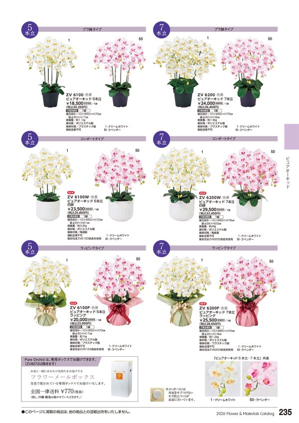 ピュアオーキッド 5本立 プラ鉢タイプ / クリームホワイト ZV6100-1のカタログ画像-1
