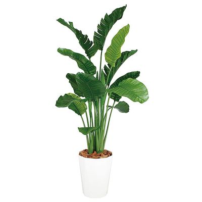 ストレリチア・オーガスタ MIX 鉢付｜東京堂のフェイクグリーン