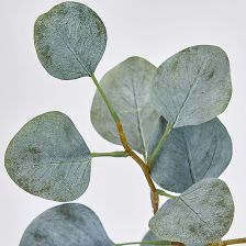 ユーカリ様※専用 ユーカリ入りのミックスグリーンブーケ 099-A-43714 | みどりの