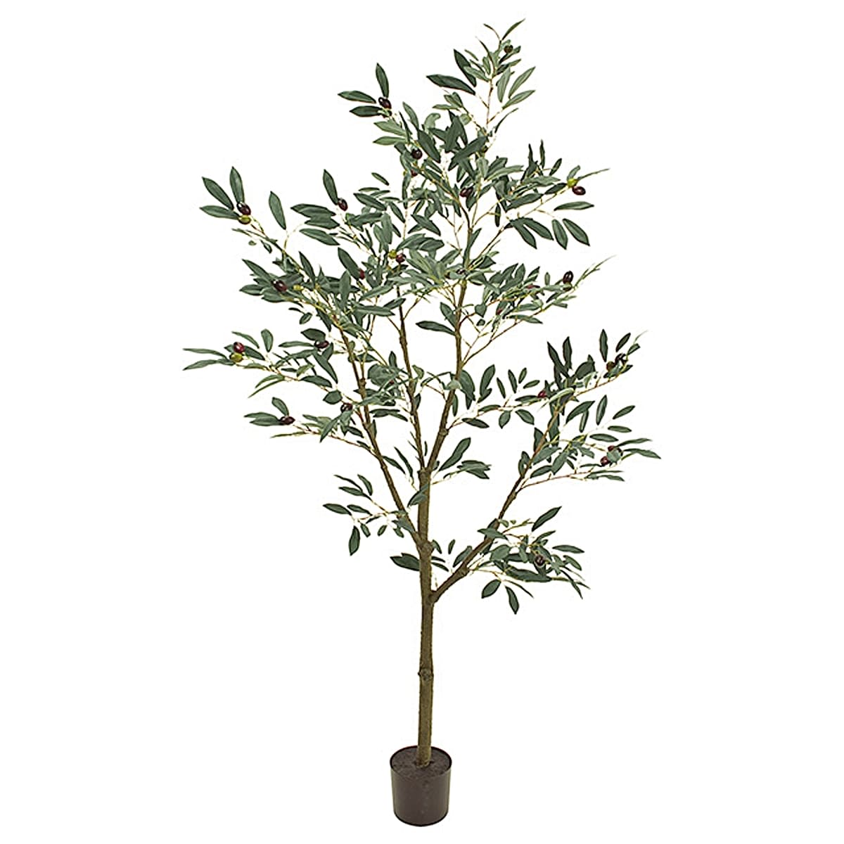 オリーブツリーポット5F-画像1