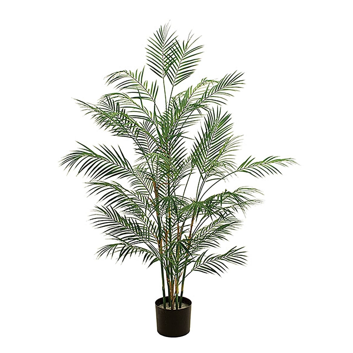 トロピカルパームツリーポット-画像1