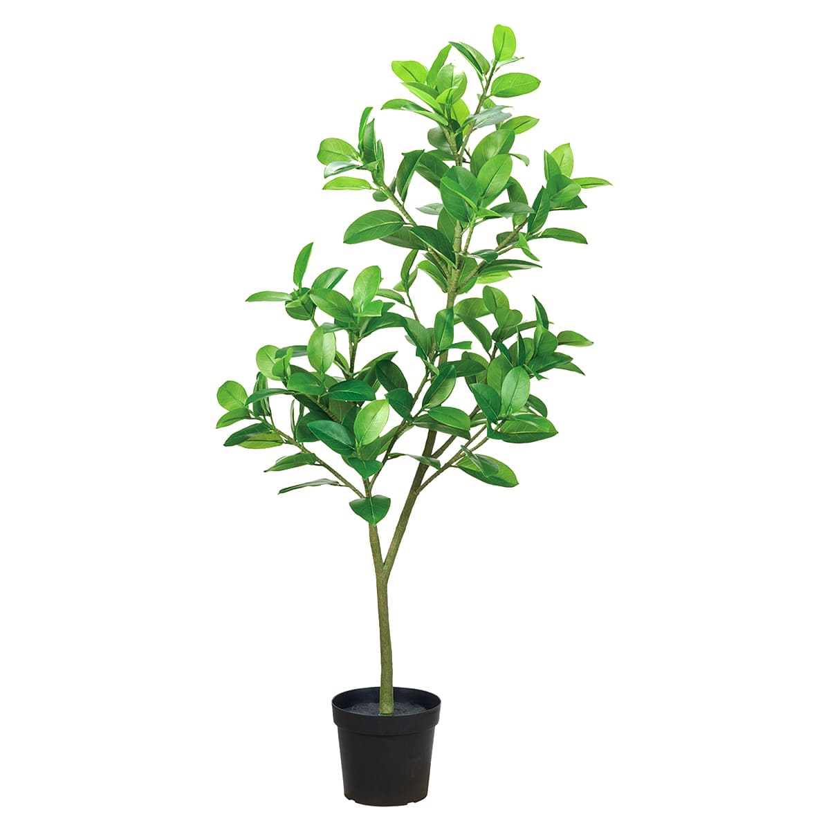 ゴムノキポット 3WAY｜東京堂のフェイクグリーン