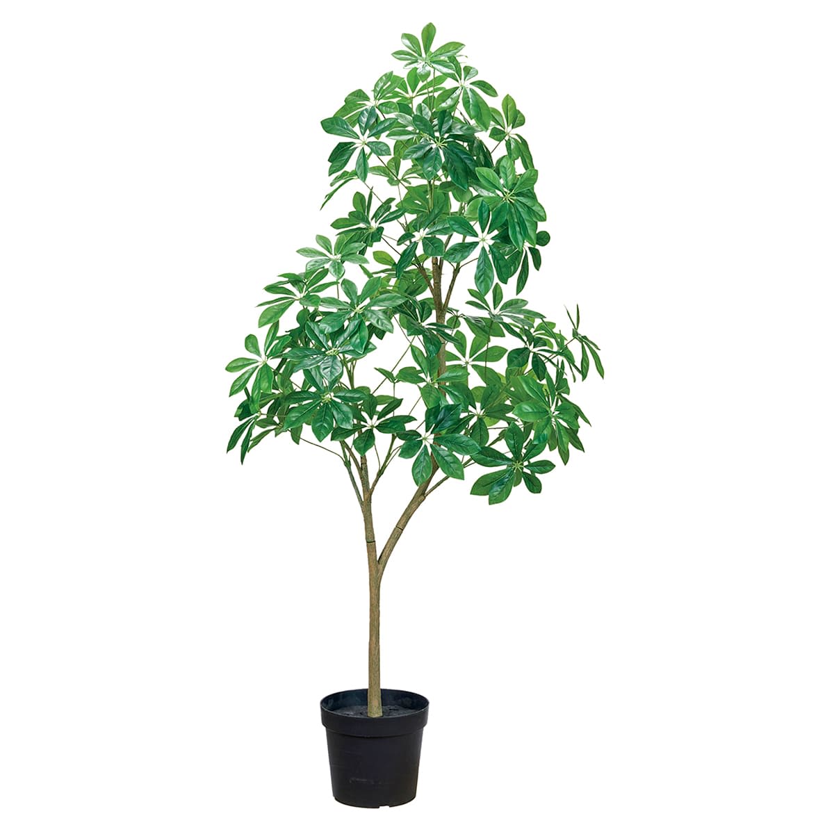 光触媒　人工観葉植物　ウォールグリーン　フェイクグリーン　ガジュマル120FST 光触媒 人工観葉植物 ウォールグリーン フェイクグリーン ガジュマル