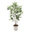 人工観葉植物ページのイメージ画像