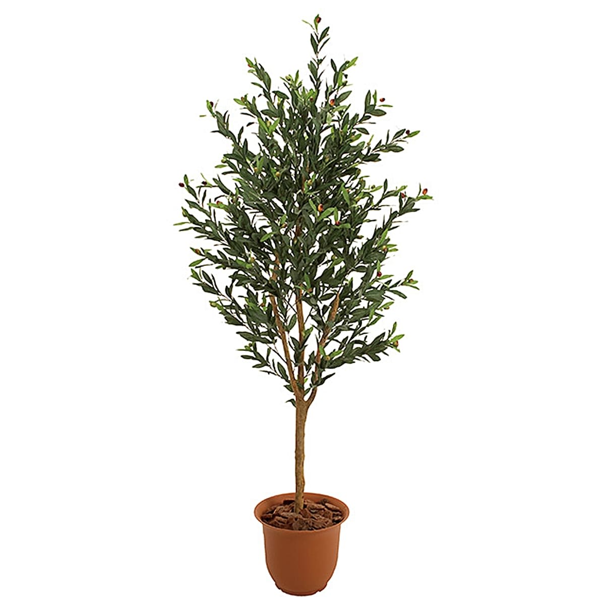 オリーブ H1500／1800｜東京堂のフェイクグリーン