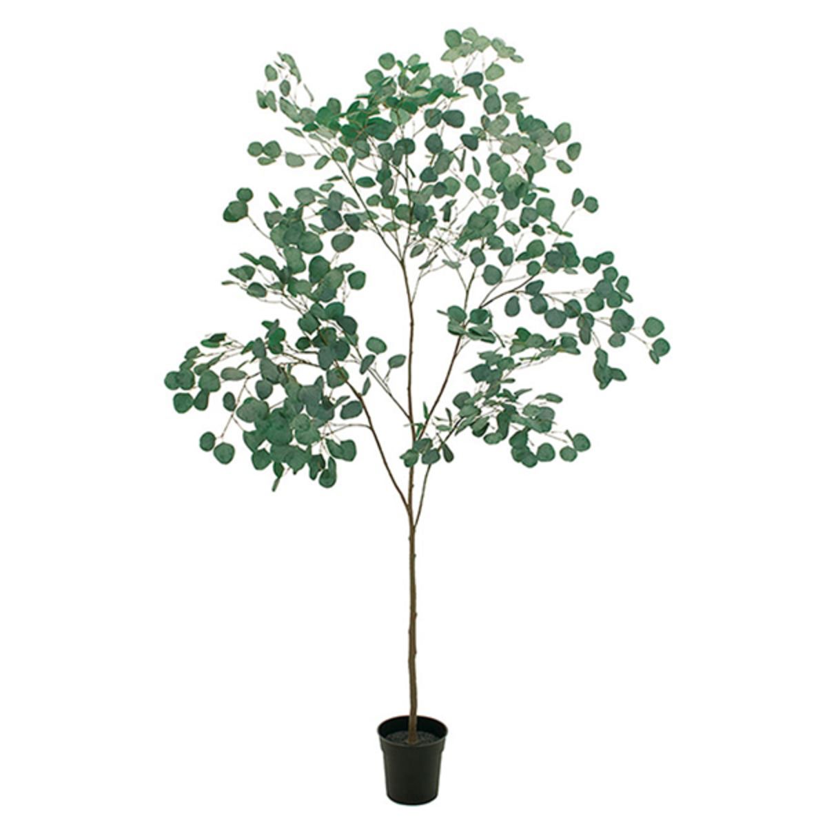 ユーカリポット｜東京堂のフェイクグリーン