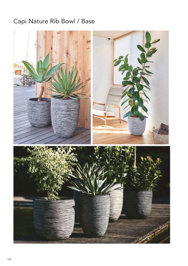 CTN-KOFZ783のカタログ画像-1