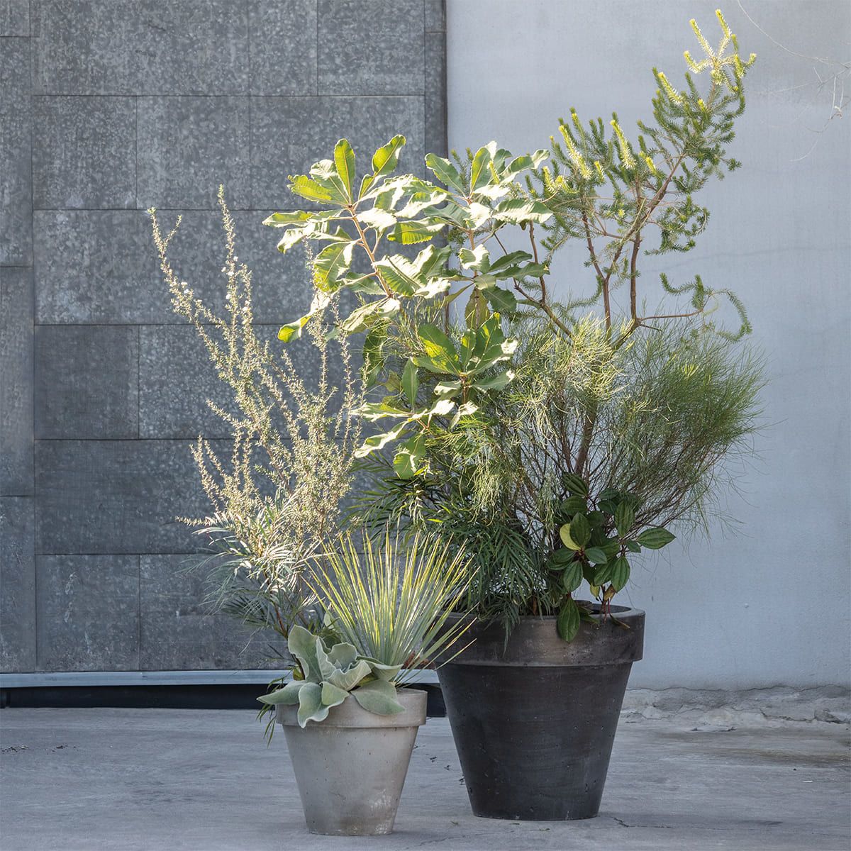 ニューヤードケイ01-画像1