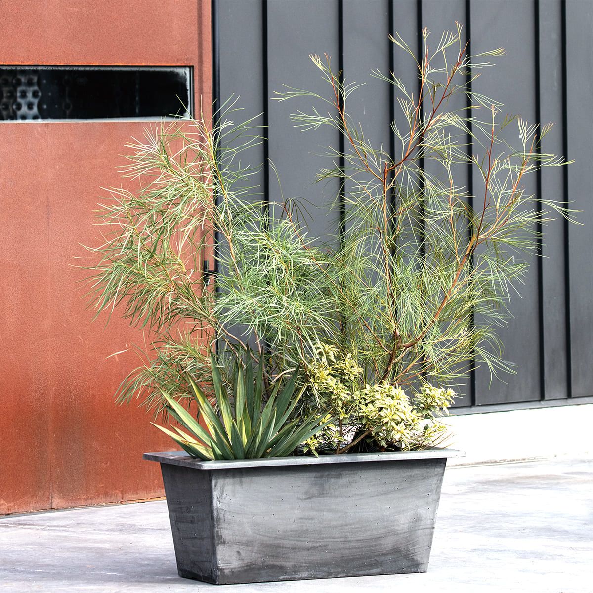 リムレクタングル-画像1