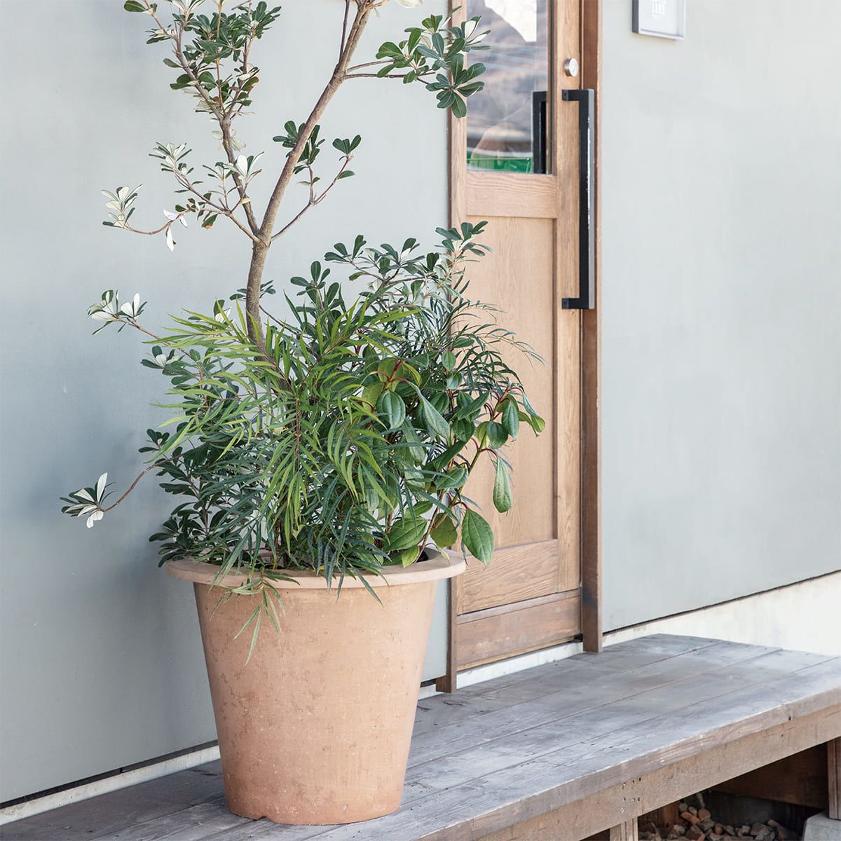 リムテーパー-画像1