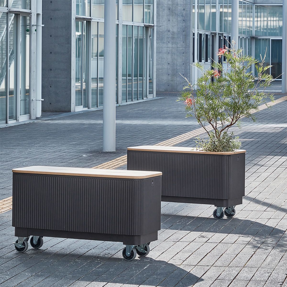 NUストライプ カバーボードセット-画像1