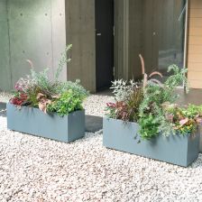 グリーンコーディネーターによるドライフラワーセット グリーンコーディネーターによるドライフラワーセット