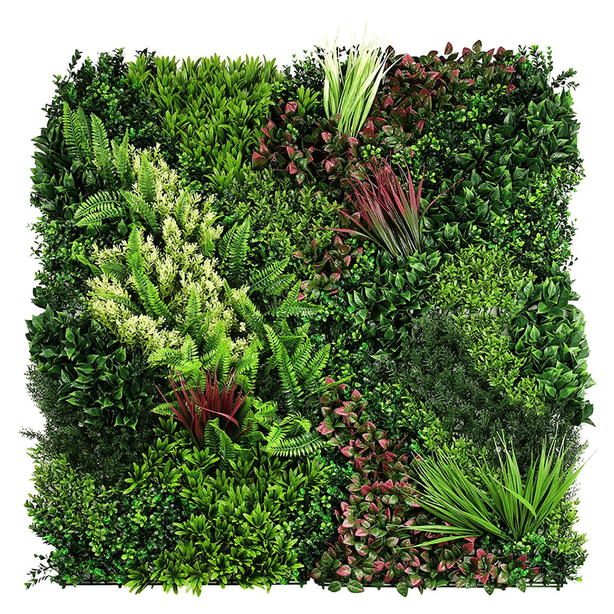 モアリーフ Oriental A ML-O-A-画像1