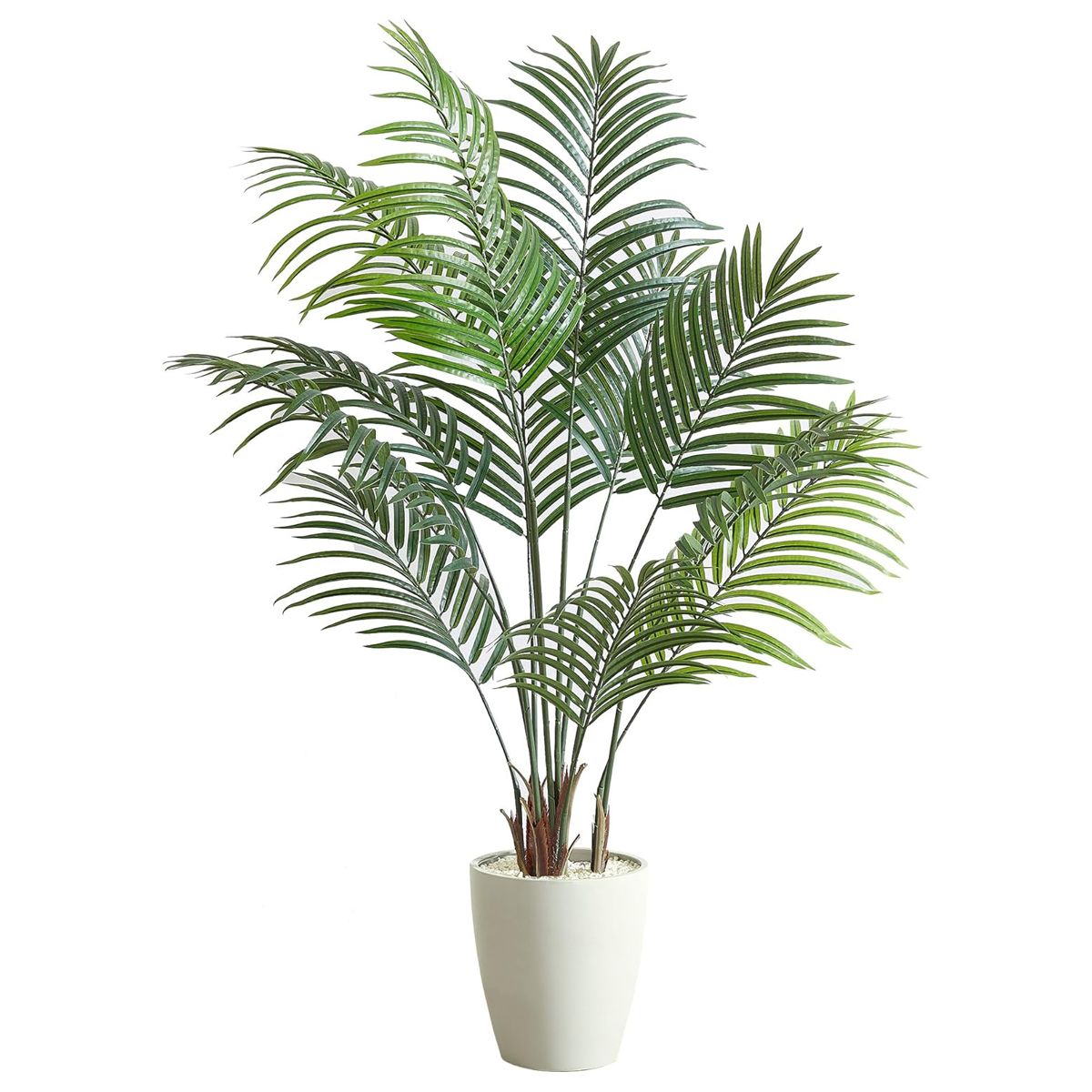 アレカヤシ ARE-140IV-画像1