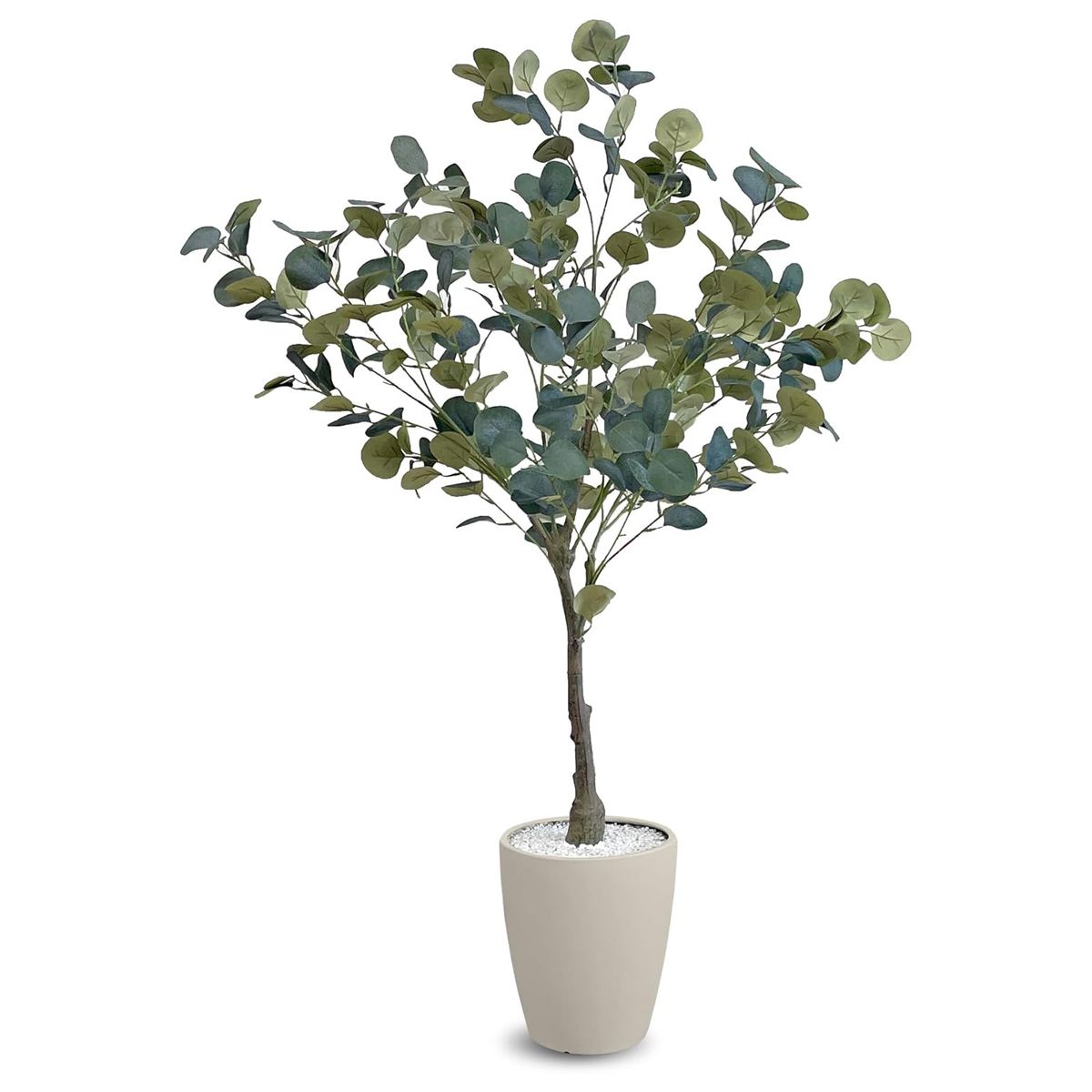 ユーカリ EUP-120IV-画像1