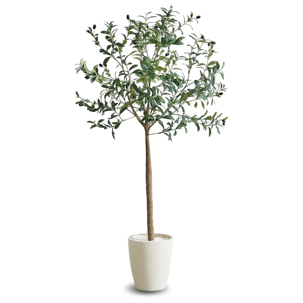 オリーブ OLE-150IV-画像1