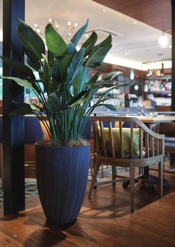 ソンク ラウンドトールのカタログ画像-2