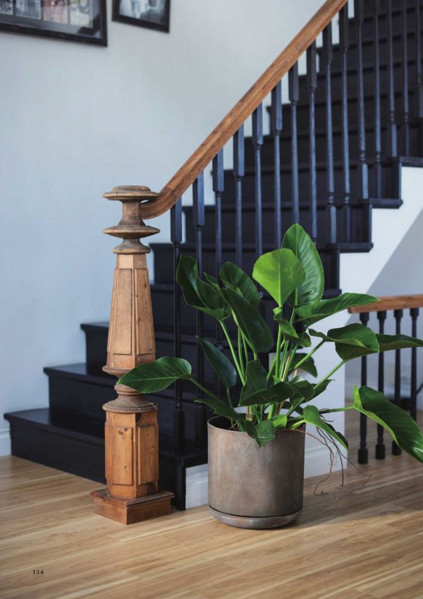 ライム ドゥオ ユーポット＆ソーサーのカタログ画像-2