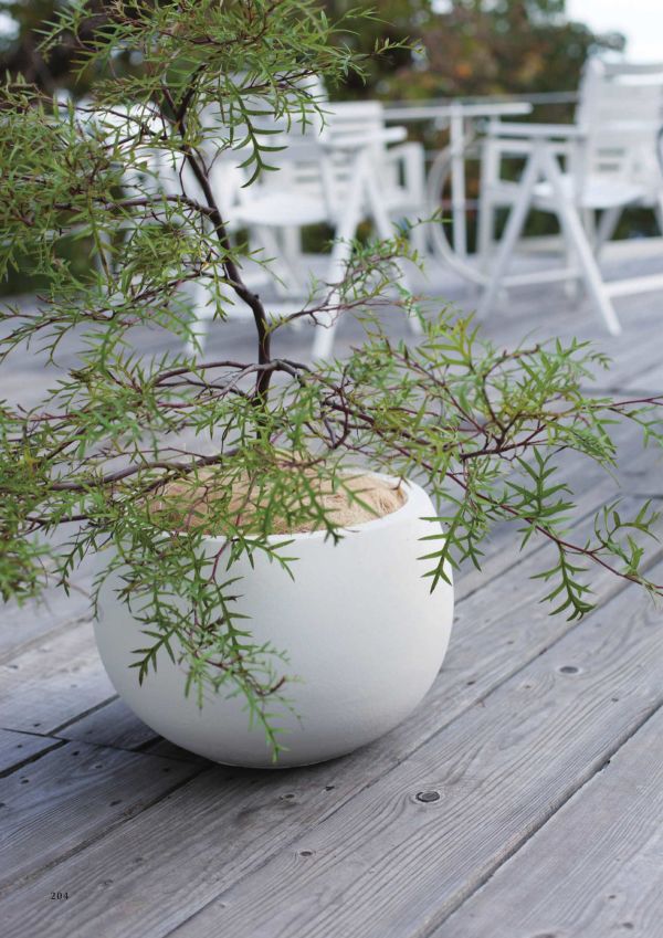 スパイラ ボウルプランターのカタログ画像-2