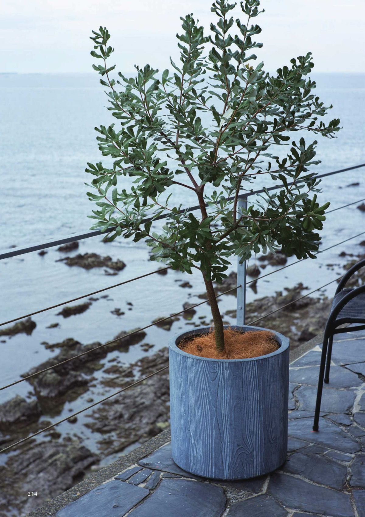 ヤマテー Yamatei カタログ P214