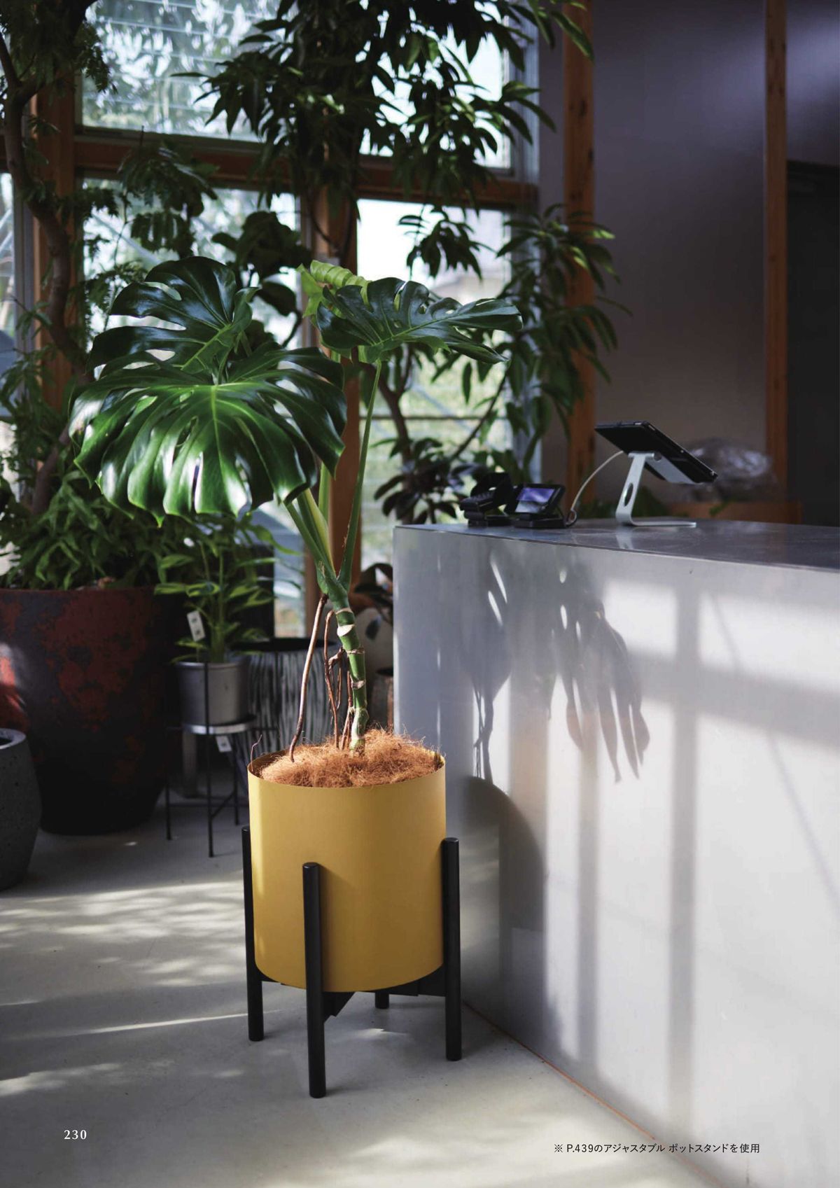 YAMATEI | プラントポット/直径39cmウォッシュグレー