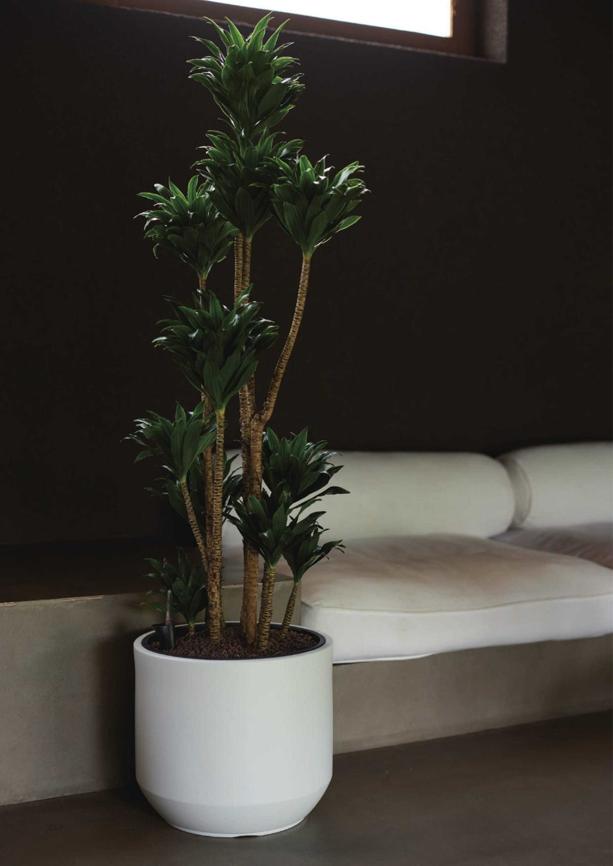 ヤマテー Yamatei カタログ P254