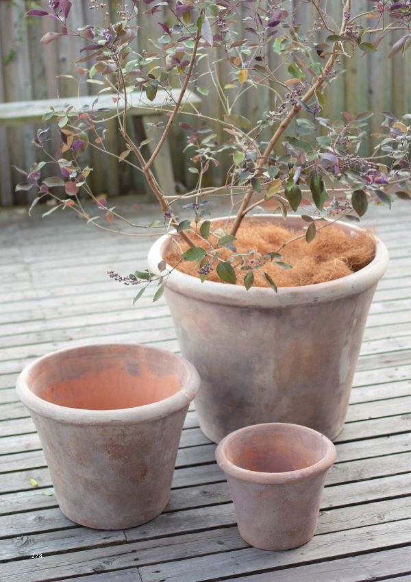 テラアストラ アダーラのカタログ画像-2