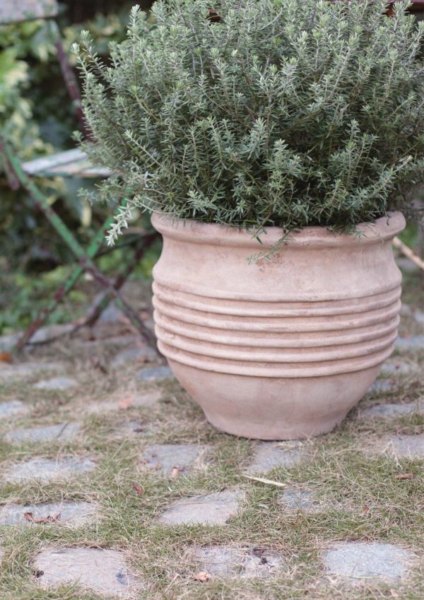 テラアストラ リゲルのカタログ画像-2