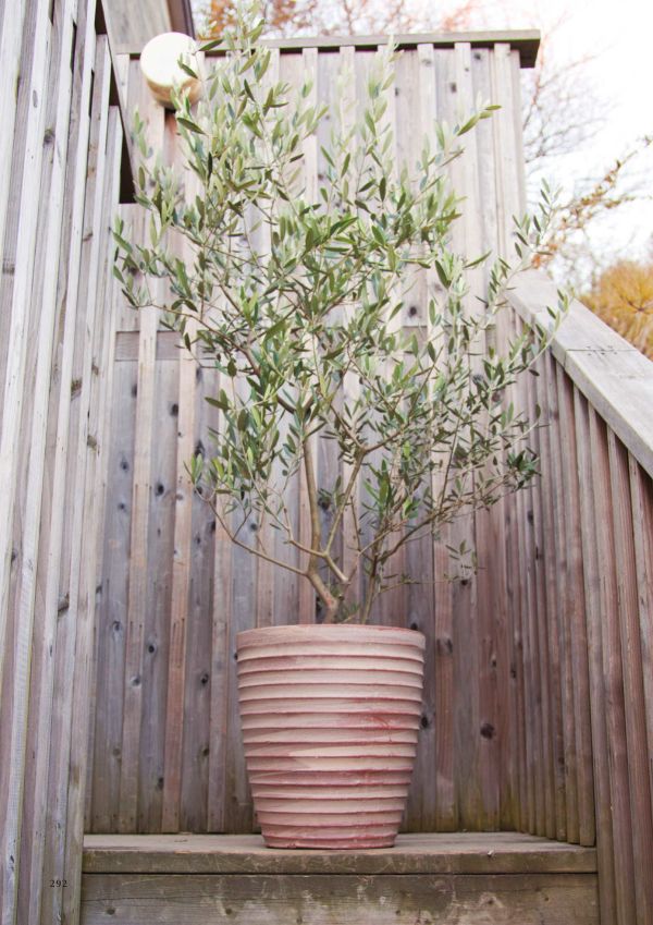 ウィスク 975 （3個セット）WH-975R3SEのカタログ画像-2