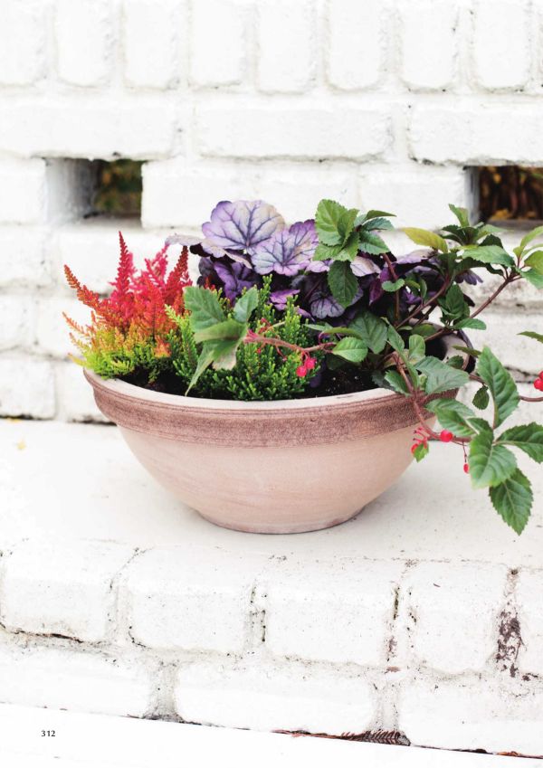 シクラミーノのカタログ画像-2