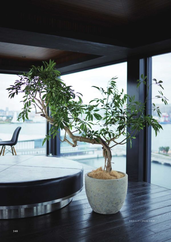 アビスソニア ミドルのカタログ画像-2