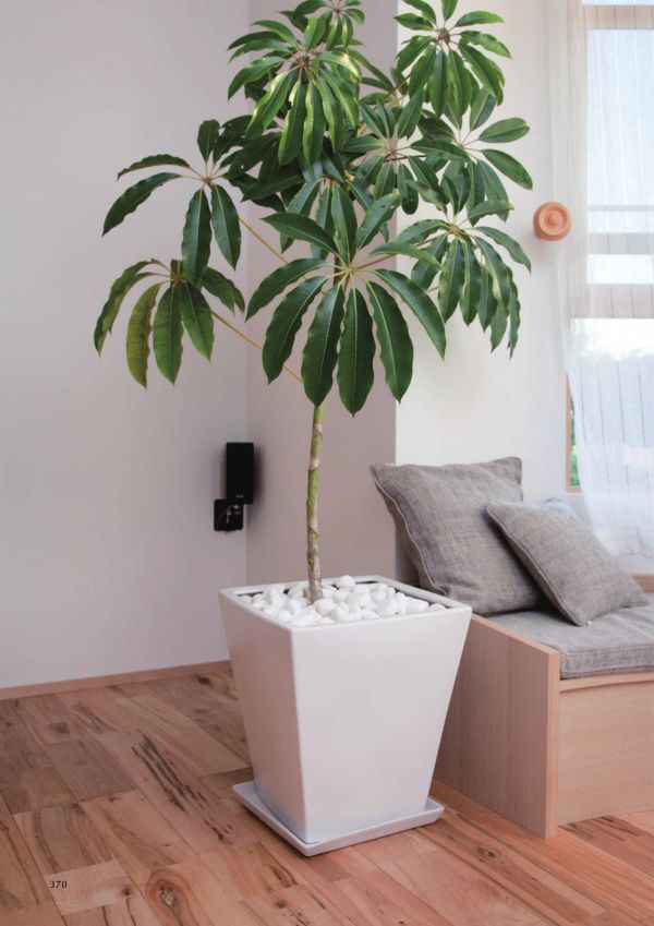 モダン WY10 マット釉 受け皿付きセットのカタログ画像-2