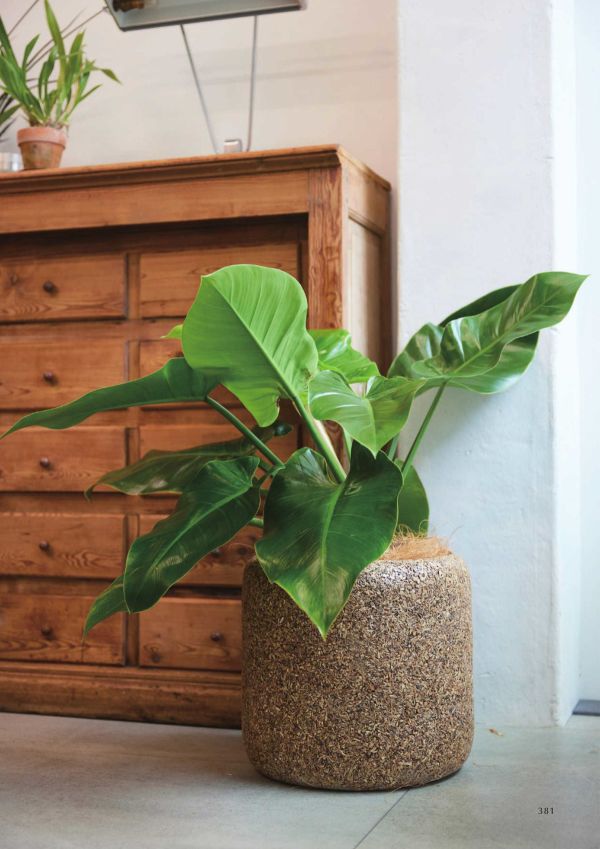 ネイチャーズキャスト Rシリンダーのカタログ画像-2