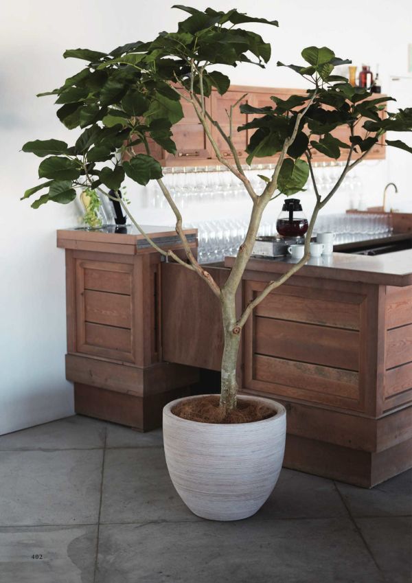 マラッカ クリームウォッシュ RDのカタログ画像-2