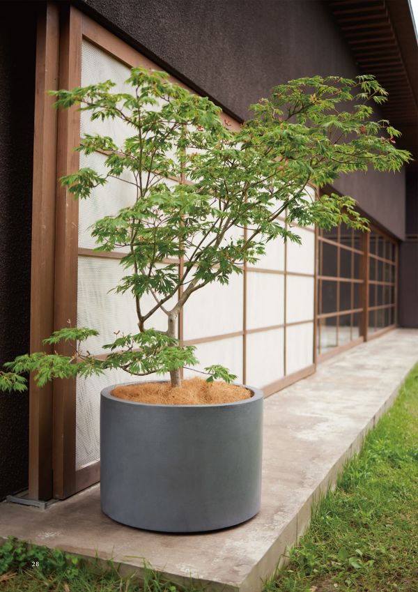 マグナス ミドルシリンダーのカタログ画像-2