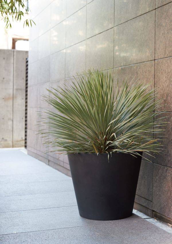 マグナス コニックのカタログ画像-2